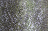 Leabrooks fibreglass roof work